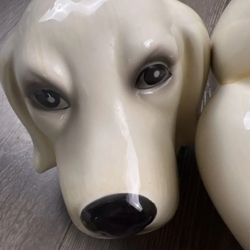 Pioneer Woman Dog Cookie Jar Labrador Retriever Lucy White Lab 11.5